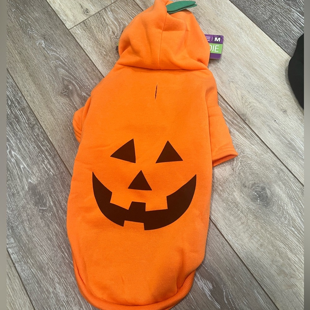 Dog or cat Halloween pumpkin costume medium- large cat. Super cute! 🎃🎃🎃